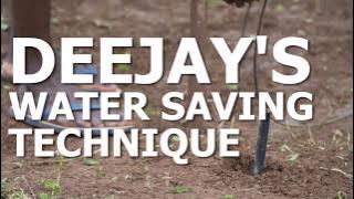 Optimizing Crop Growth: The Deejay's Effective Irrigation System (2023) - 9148152790