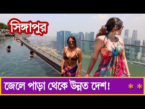 ভিডিও: কিভাবে ধনী দেখবেন (ছবি সহ)