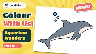 Colour Along for Kids: Dolphin | Aquarium Wonders Page 19 | Puddleleaf Studio screenshot 2
