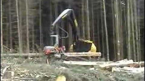 Logmax 12000 on Tigercat