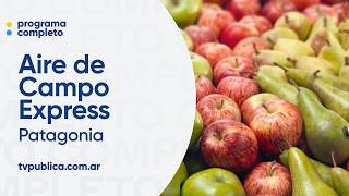 Patagonia Argentina: Región frutícola por excelencia - Aire de Campo Express