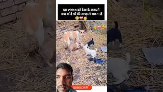 maa to maa hoti hai #shorts #maa #viral #trending #reels #memes