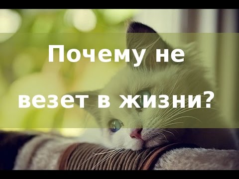 ÐÐ°ÑÑÐ¸Ð½ÐºÐ¸ Ð¿Ð¾ Ð·Ð°Ð¿ÑÐ¾ÑÑ ÐÐÐ§ÐÐÐ£ ÐÐÐÐÐÐÐ¢