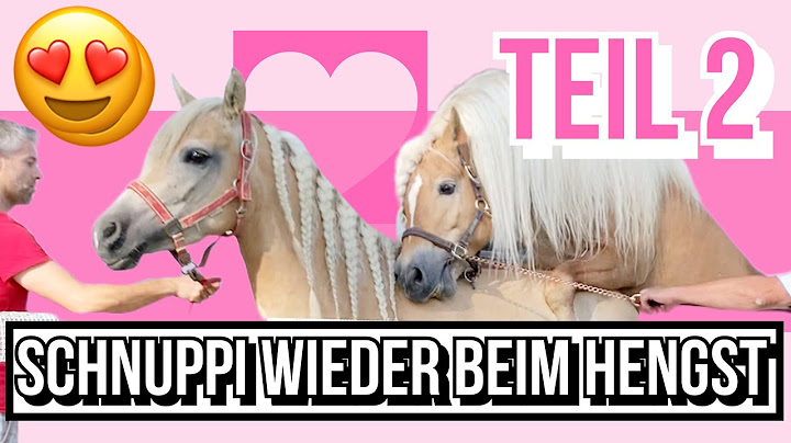 Schnuppi wieder beim Hengst | nimmt sie diesmal auf?