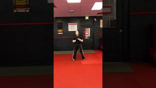 Form- Parry Block, Side Kick, Palm Heel