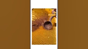 Why Bees Make hexagonal cells.   #science #honeybee #cell #hive #experiment #circle #soft #trendy