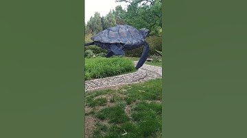 turtle flying in search of food #vfx #3danimation #animal #specialeffects #3dmodeling