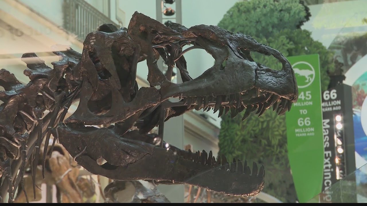 "David H. Koch Hall of Fossils - Deep Time" to open in Washington, D.C.