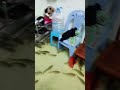 受持续降雨影响 广东潮州部分地区出现积水 有鱼群游进居民家中 受持续降雨影响 广东潮州部分地区出现积水 有鱼群游进居民家中