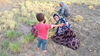 'The Man Who Changes the Lives of Little Children: The Story of a Kind Farmer'