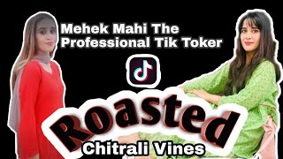 Tiktoker Mehakmahi O Life Story Hero Ishkama Qabuz Biko Sum Justa D Hes Chitraro Promote Arer