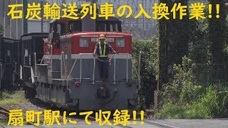 2019/08/17 [貨物列車] 石炭輸送列車 5764レ~5783レ 扇町での入換作業!!