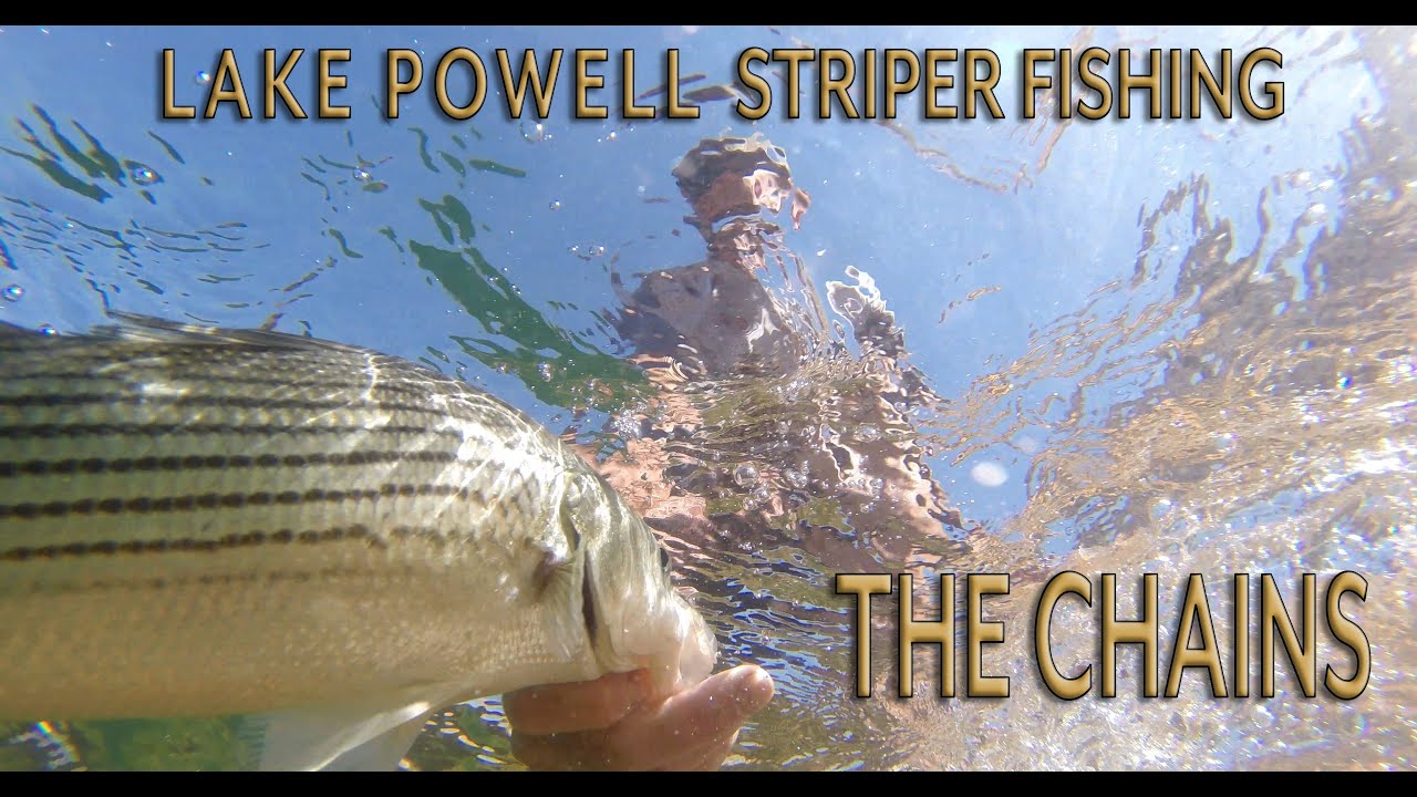 Lake Powell Striper Fishing The Chains Area YouTube