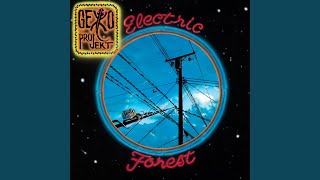 Cognitive Dissonance - Gekko Projekt