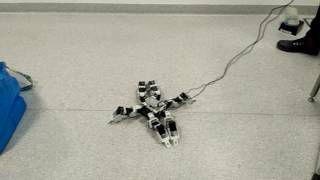 Hexapod robot
