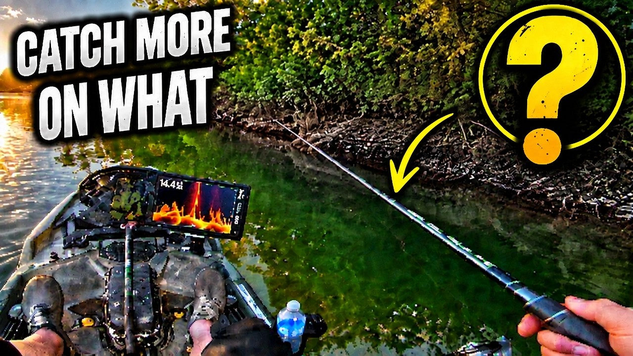 Catch More Bass With These Boring Baits