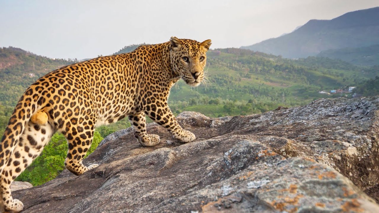 Nature inFocus Photography Awards 2023 - Give your images the stage