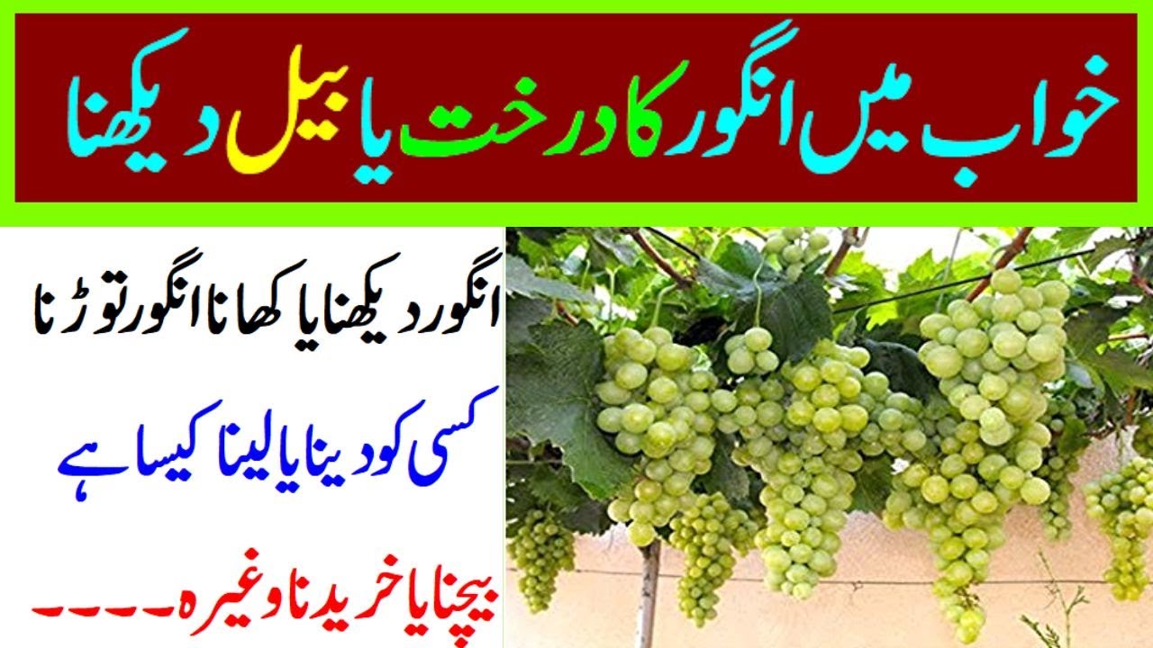 100 Million Dollars In Rupees Hindi