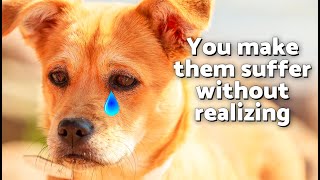 If You Do These 10 Things Every Day, You Will Break Your Dogs Heart Without Realizing It