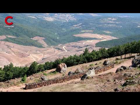 Kaz Dağları'ndaki talan