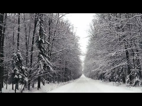 Красивая зима в