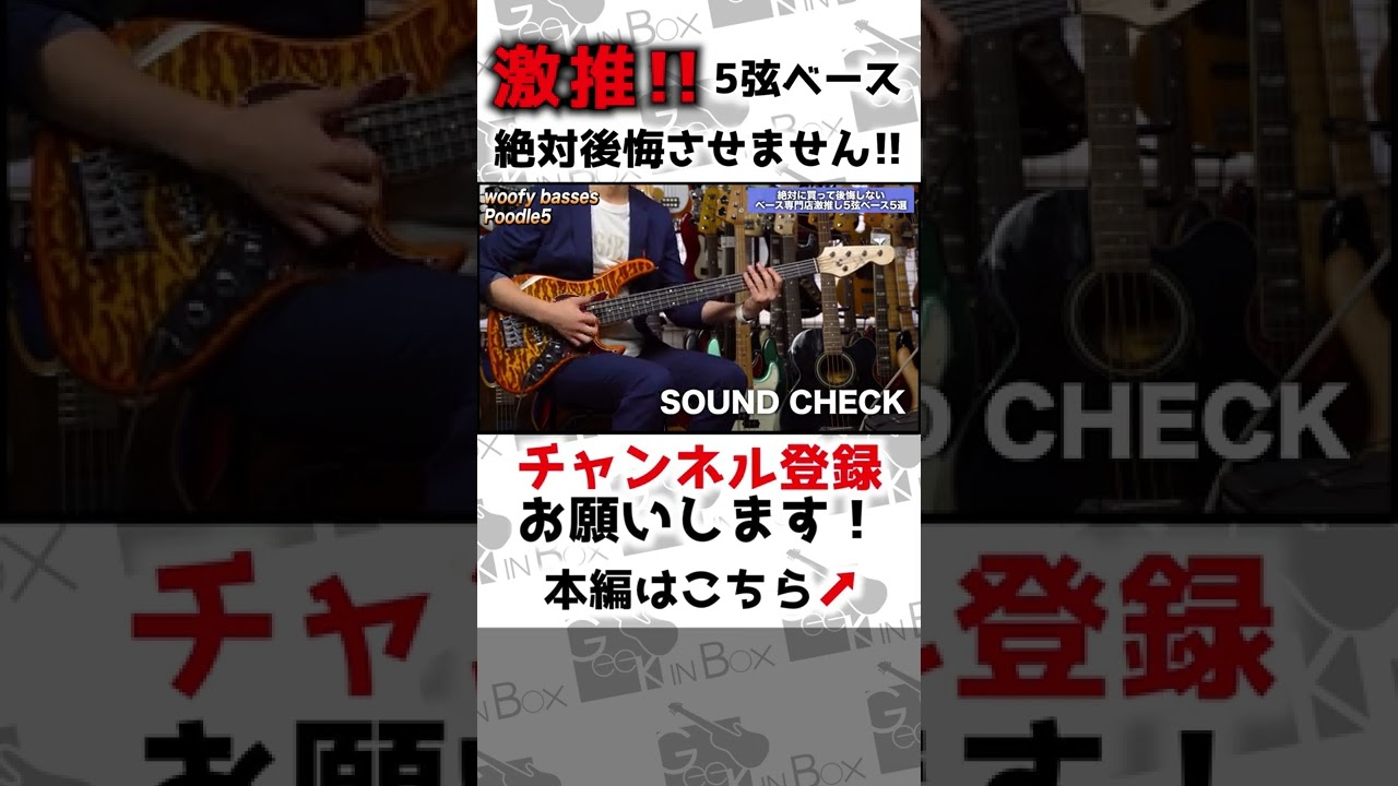 ベース専門店激推し5弦ベース Woofy Basses Poodle 5 #shorts