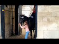 Kind girl helps very frightened kings guard horse calm down