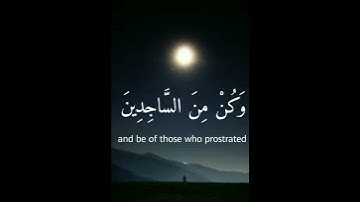 ولقد نعلم انك يضيق صدرك بما يقولون القارئ احمد خضر