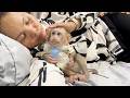 FIDO Feeling Comfy With Mom Tender Touch Grooming Him