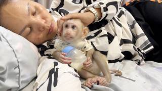 FIDO Feeling Comfy With Mom Tender Touch Grooming Him