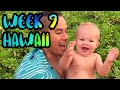 Manilla Takes Over the Family Vlog!! Aloha from the North Shore!! /// WEEK 9 : Oahu, Hawaii