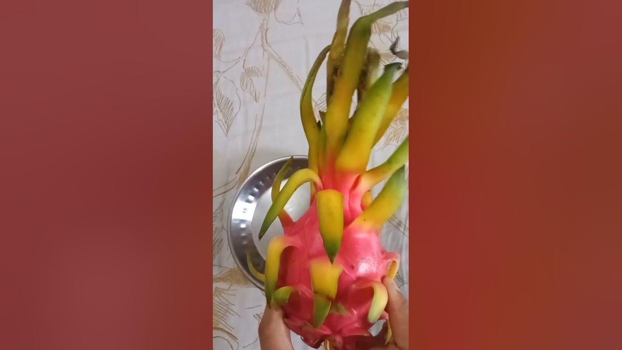 Btao konsa fruit hai😃 indian_vlogging shortvideo YouTube