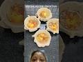 Mughlai egg paratha