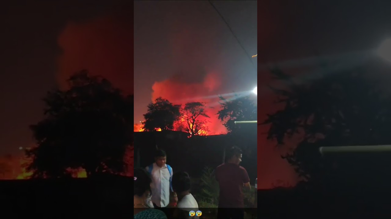 Aarey colony fire News 