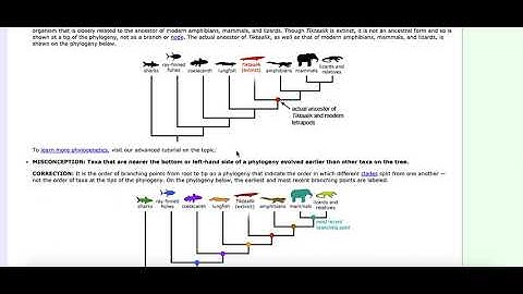 Ch  11.5 OpenStax Biology  Common Misconceptions about Evolution