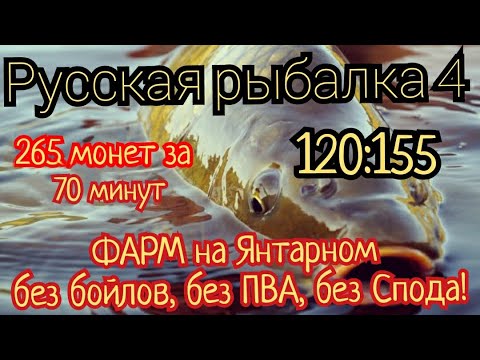 РР4. Фарм на Янтарном озере Без ПВА, без Бойлов и Спода. Карп Зеркальный, Чешуйчатый и Линейный.