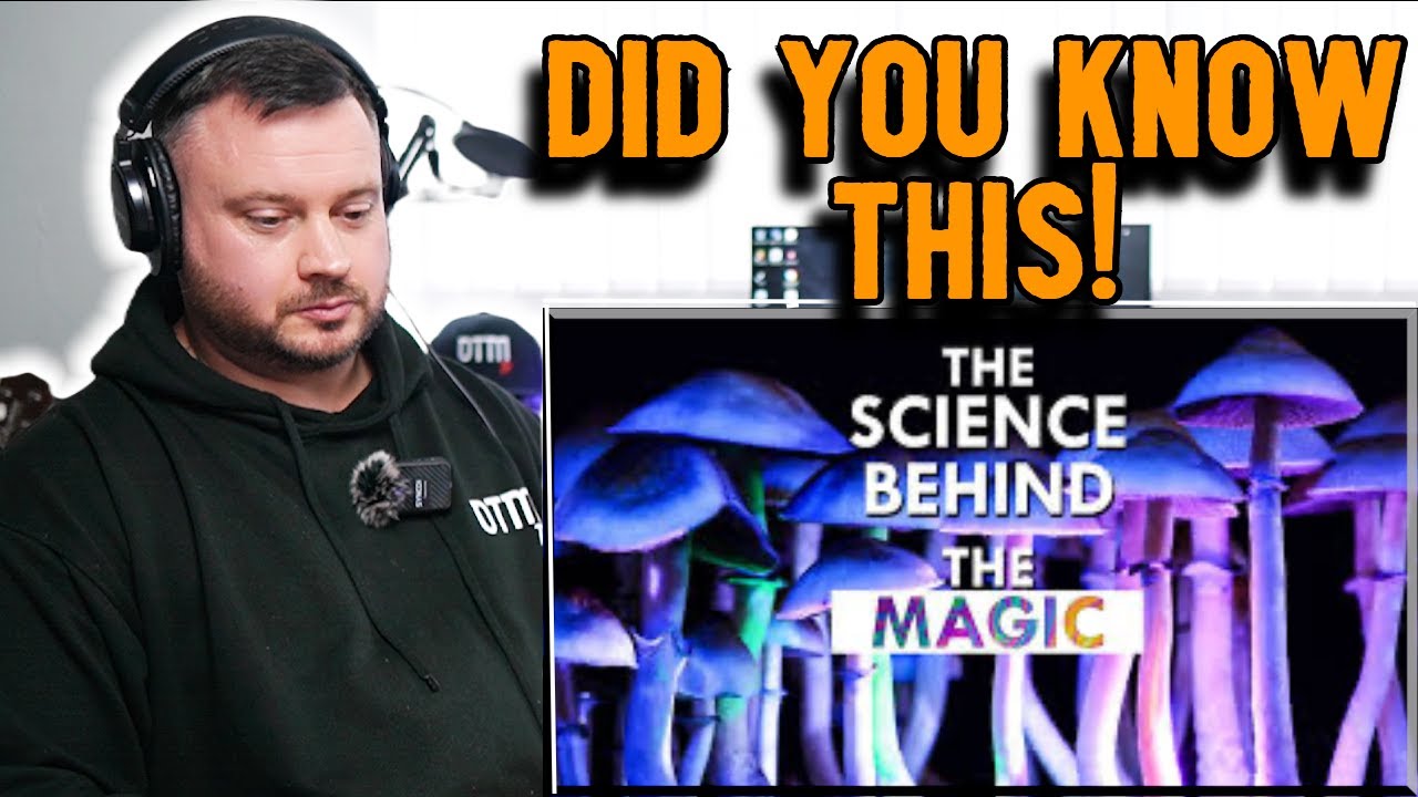 British Reacts: The Mind-Bending Journey of Magic Mushrooms | Animalogic Exploration | DADBUD