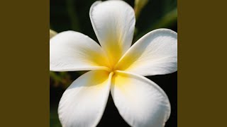 Radiant Freedom For Tomorrow