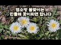 축분 반출 작업#12 [기운찬 흑염소농장]