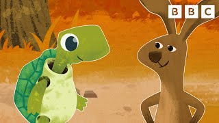 Hare and Tortoise Story with Musical Storyland | CBeebies