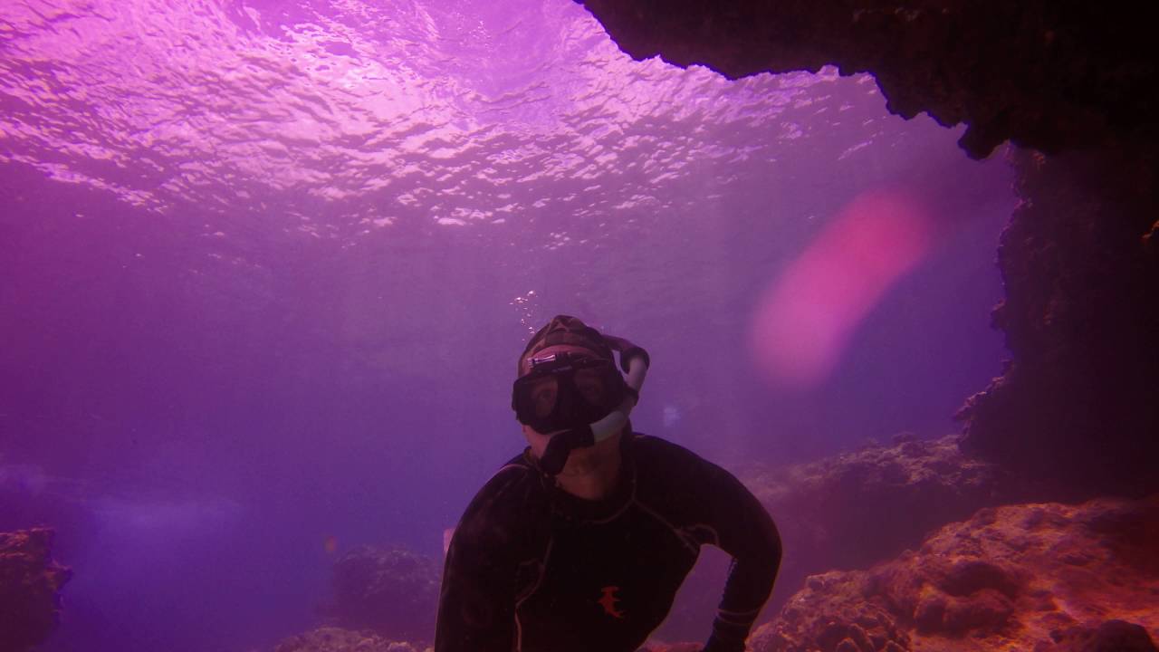 OAHU, HAWAII Snorkeling Waimea Bay Apr 2016 YouTube