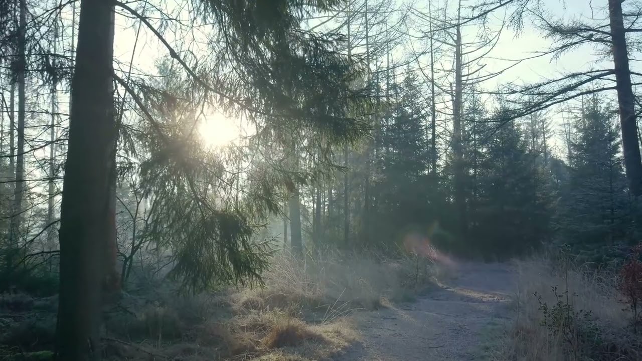 Ruang Diam |1 Jam Musik Relaksasi untuk Doa dan Keheningan