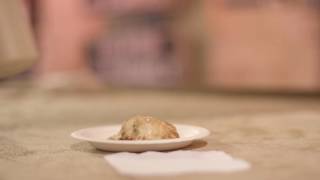 Chef Bertrand Alépée of the Tempered Room talks TABASCO Sauce