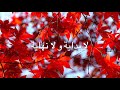 La Bidayi Wla Nihayi - Hiba Tawaji (Lyrics) / SUBTITLES