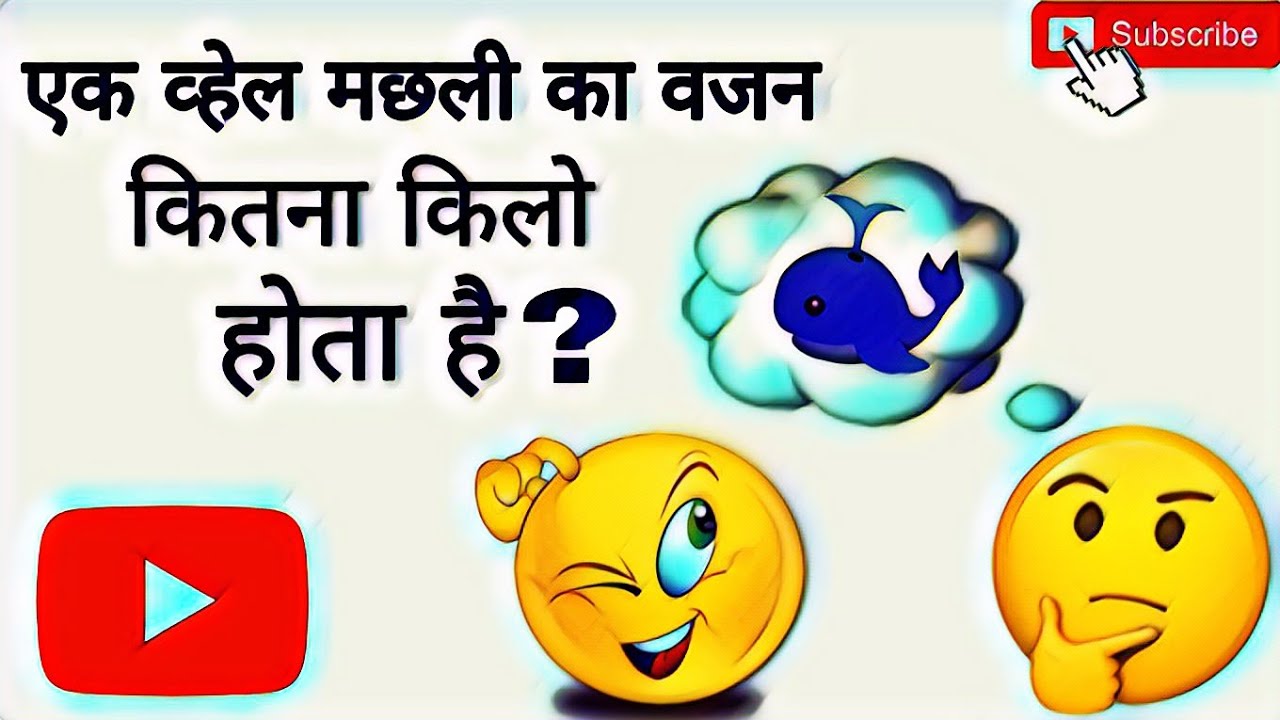 1 whale fish ka vajan kitna hota hai? YouTube