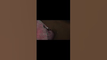 Player 333 death 💔 | Squid game season 3 #shorts #edit #Squidgame