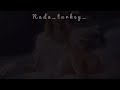    هاديسا لن أتسامح مترجمه