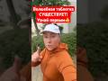 А ты нашла «волшебную таблетку»? #силаженщины #буднимамы #женскаясила #восстановление #ресурс