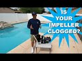 How to Unclog Your Pool Pump Impeller! (and warning signs)
