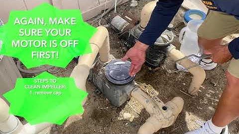 How to Unclog Your Pool Pump Impeller! (and warning signs)